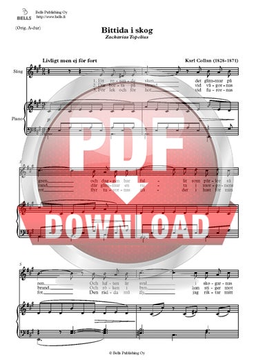 Collan, Karl: Bittida i skog