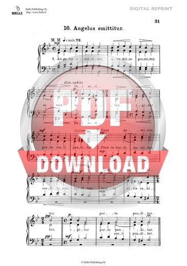 Trad. (arr. Heikki Klemetti): Angelus emittitur