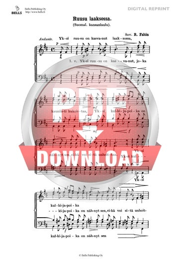 Trad. (arr. Richard Faltin): Ruusu laaksossa (coro masculino)